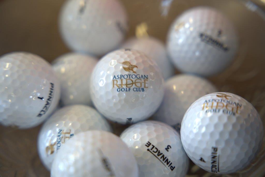 Aspotogan Ridge Golf Balls